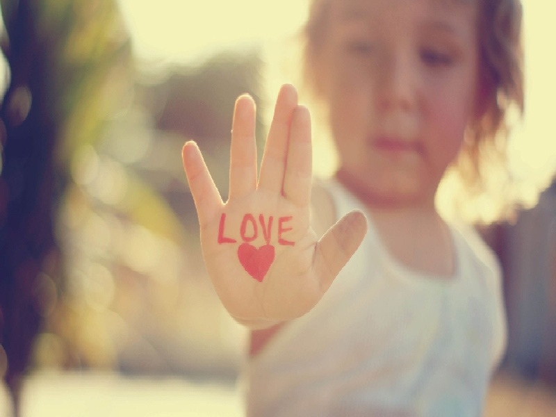 铁试管架，潍坊阳光融和试管