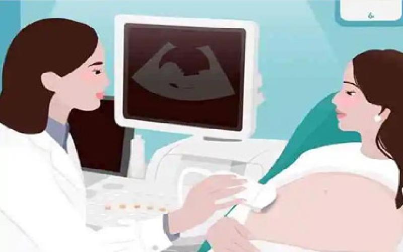 试管流程指南最新代生