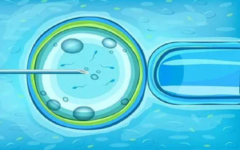 2代试管门槛代生